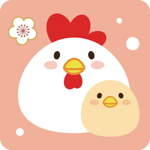 illustrations, cliparts, dessins animés et icônes de parent et enfant d’oiseau - animal young bird baby chicken chicken