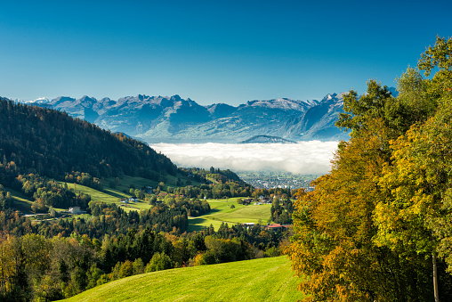 Mist in the mountains in the autumn. Colorful trees