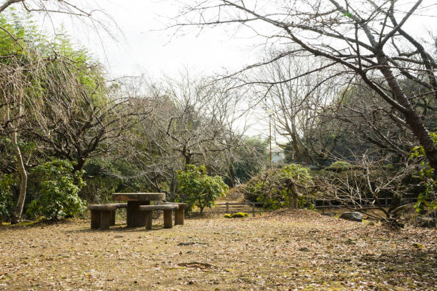 Park Square of Susono Kairakuen Park January, 2017 photography mito ibaraki stock pictures, royalty-free photos & images