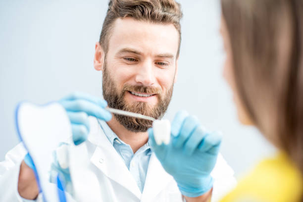 istock Dental consultation with tooth model 657868620