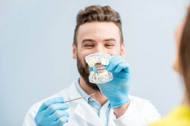 istock Dental consultation with jaw model 657868684