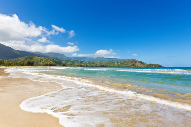 Hanalei Beach at Hanalei Bay. Kauai, Hawaii The famous Hanalei bay. A popular destination for locals and tourists. With its white sand beach and scenic surroundings. hanalei bay stock pictures, royalty-free photos & images