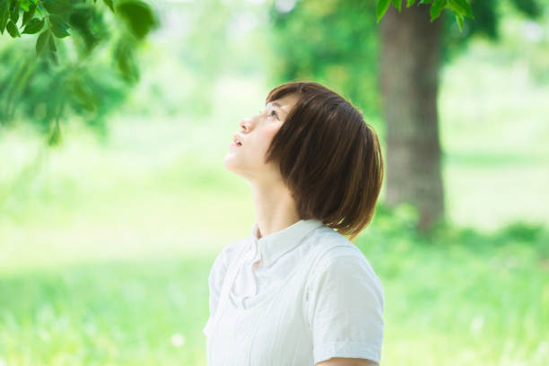 istock Young Asian woman in green nature 657884280