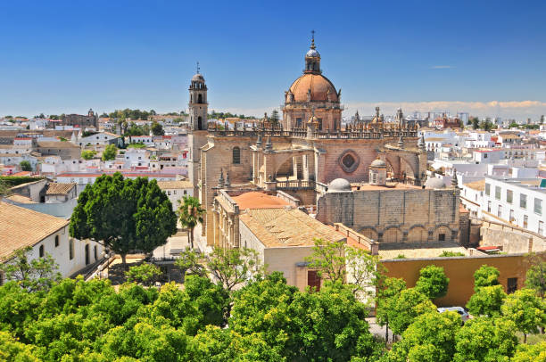 la catedral de jerez de la frontera, cádiz. - cadiz province fotografías e imágenes de stock