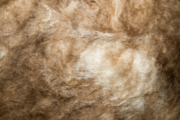 istock Close up of a glass wool roll for insulation purpose 657890732