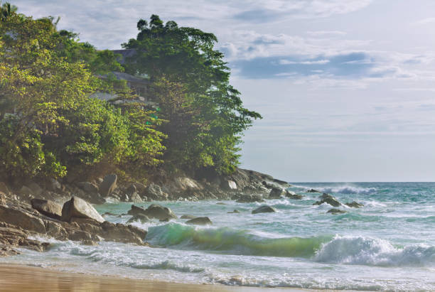 istock tropical beach under gloomy sky 657891552