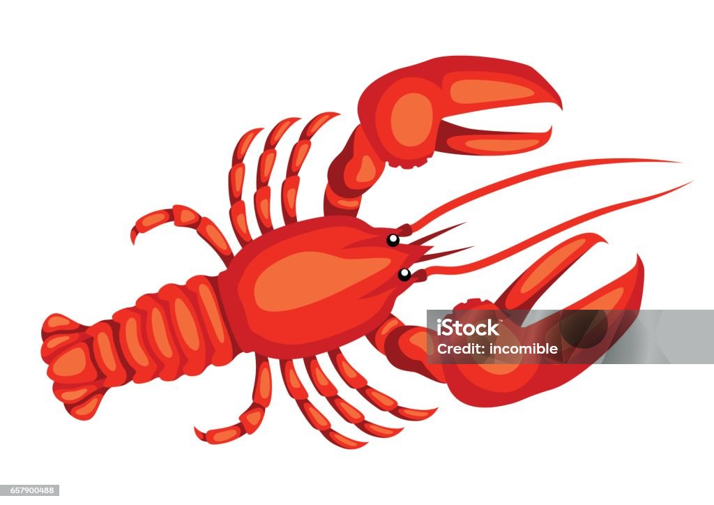 Red lobster. Isolated illustration of seafood on white background Red lobster. Isolated illustration of seafood on white background. Lobster - Animal stock vector Red lobster. Isolated illustration of seafood on white background Red lobster. Isolated illustration of seafood on white background. Lobster - Animal stock vector