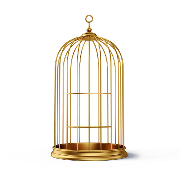 cage gold cage isolated on a white background birdcage photos stock pictures, royalty-free photos & images