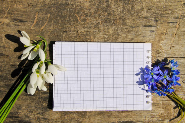 istock Bouquet of spring flowers and notepad on wooden background 657907800