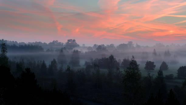 istock Strong morning fog above the park. 657908040