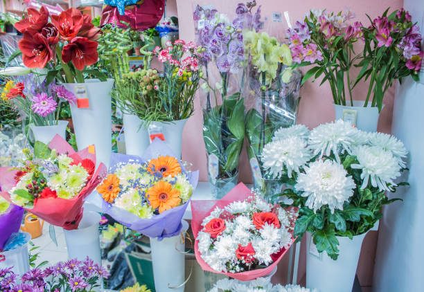 istock Bunches Fresh big yellow purple white chrysanthemum bunch gerbera chamomilecloseup 657915368