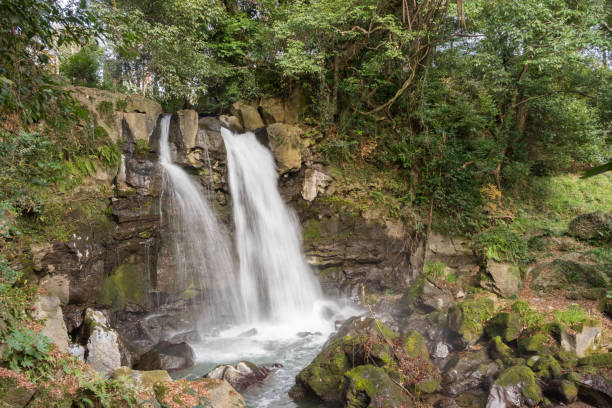 Fudo Waterfall of Susono Kairakuen Park January, 2017 photography mito ibaraki stock pictures, royalty-free photos & images