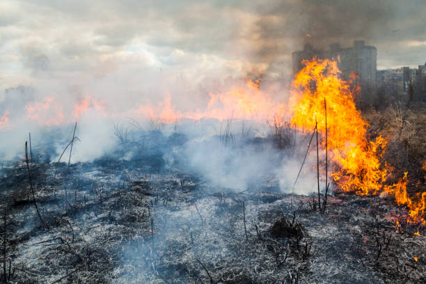 istock Fire in the field near the city 657921938