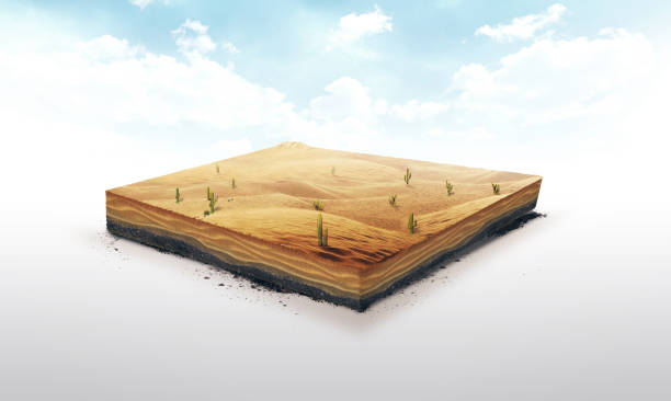 3d illustration of a soil slice, Desert with cacti, sand, dune isolated on white background