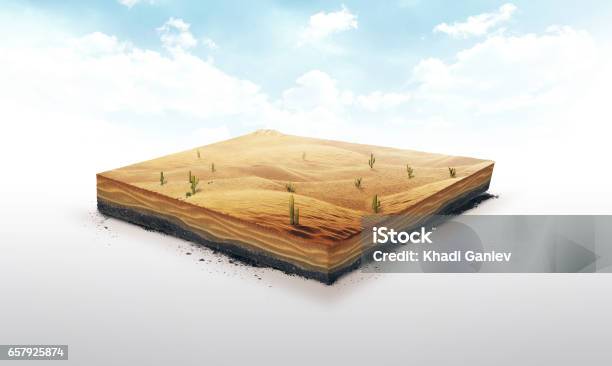 3d Illustration Of A Soil Slice Desert With Cacti Sand Dune Isolated On White Background Stock Photo - Download Image Now