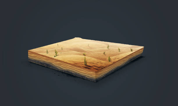 istock 3d illustration of a soil slice, Desert with cacti, sand, dune isolated on dark background 657925892