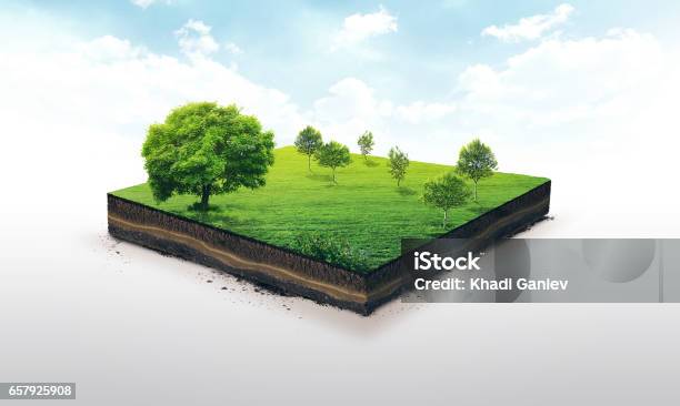 3d Illustration Of A Soil Slice Green Meadow With Trees Isolated On White Stock Photo - Download Image Now