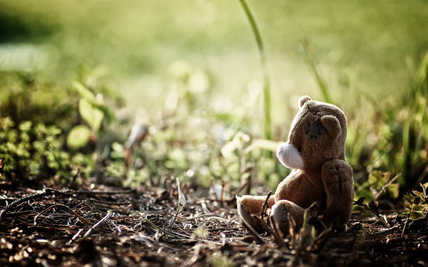 Rear view of plushy toy in front of brightly lit window with pastel colored sunbeam.