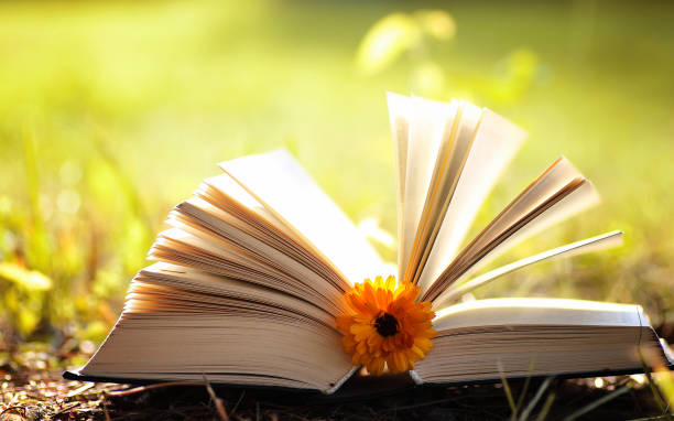 istock opened book in yellow autumn 657939788