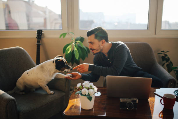 istock Modern young man at home playing with pet dog 657943462