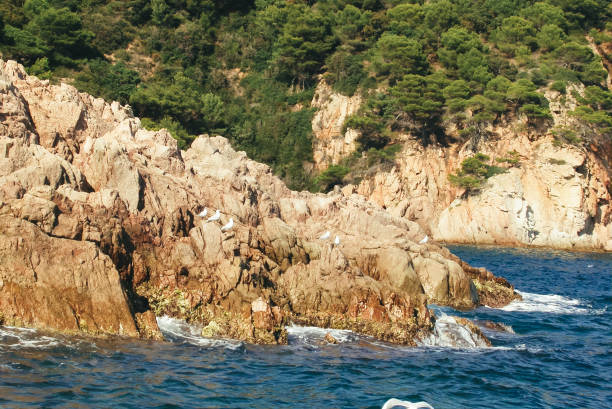 istock Coast on the Costa Brava, Catalonia, Spain 657946384