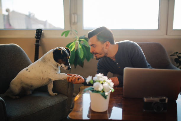 istock Modern young man at home playing with pet dog 657946656