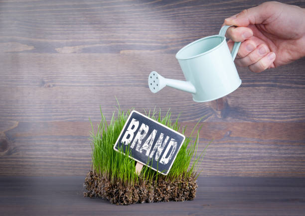 Brand concept. Fresh and green grass on wood background