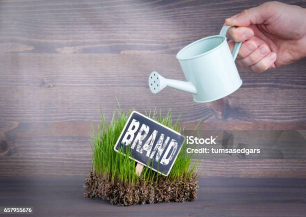 Brand Concept Fresh And Green Grass On Wood Background Stock Photo - Download Image Now