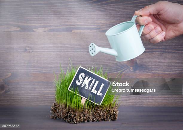 Skill Concept Fresh And Green Grass On Wood Background Stock Photo - Download Image Now
