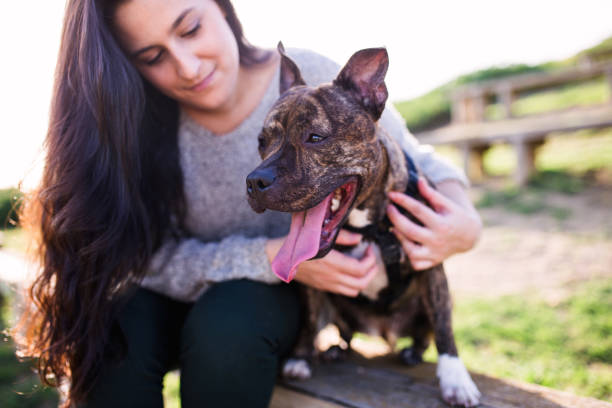 istock young woman with ther dog 657956414