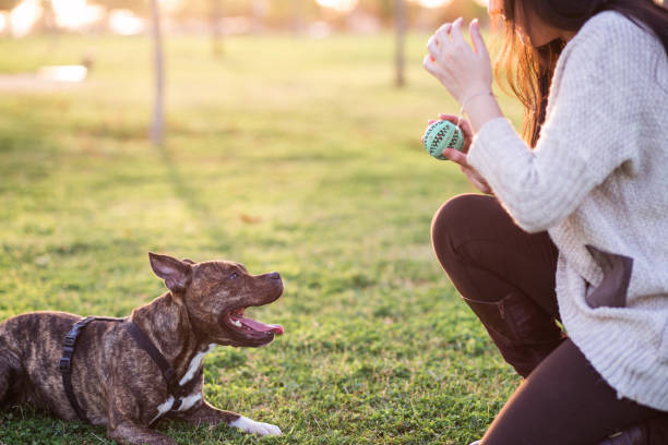 istock young woman with ther dog 657956432