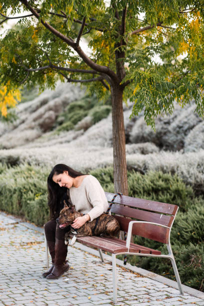 istock woman with a dog sittingon a bench 657956456