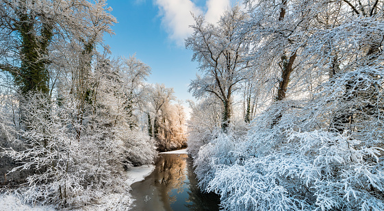 Winter landscape in Vorarlberg, Austria, with a river flowing through a forest with snow-covered trees at sunrise