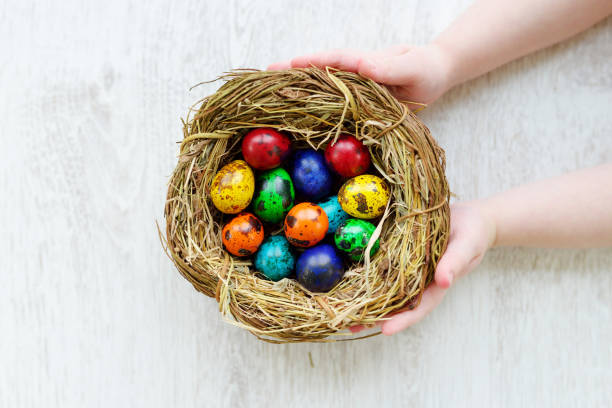 istock Child holding a nest with colored Easter eggs at home on Easter day 657969158