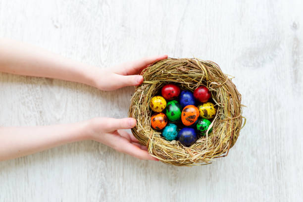 istock Child holding a nest with colored Easter eggs at home on Easter day 657969248