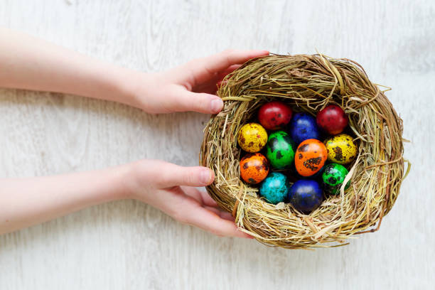 istock Child holding a nest with colored Easter eggs at home on Easter day 657972418