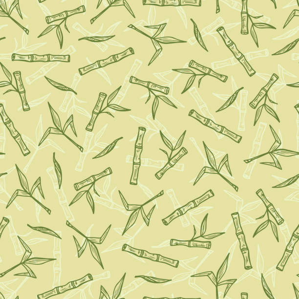 illustrations, cliparts, dessins animés et icônes de dessinés à la main en bambou ou canne à sucre plantes vecteur seamless pattern. tiges avec feuilles fond. - seamless bamboo backgrounds textured