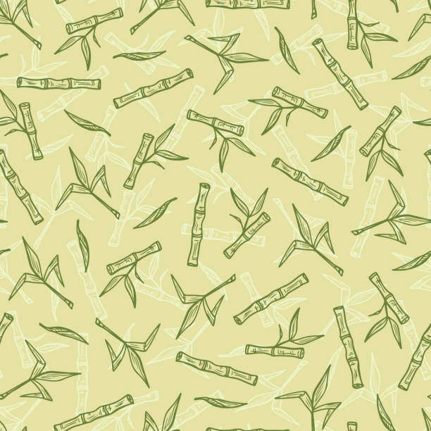 手描き竹やサトウキビは植物ベクターのシームレスなパターンです。茎葉の背景を持つ。 - turbinado sugar illustrations点のイラスト素材／クリップアート素材／マンガ素材／アイコン素材