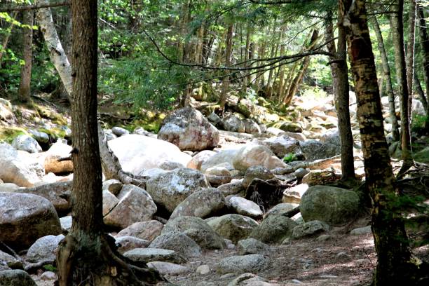 istock The White Mountains National Forrest 657984040