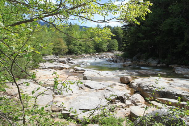 istock The White Mountains National Forrest 657984226