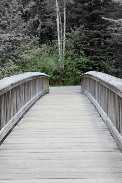 istock The White Mountains National Forrest 657984326