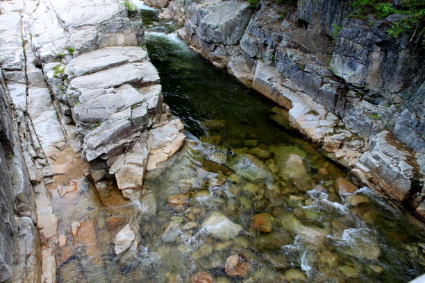 istock The White Mountains National Forrest 657984494