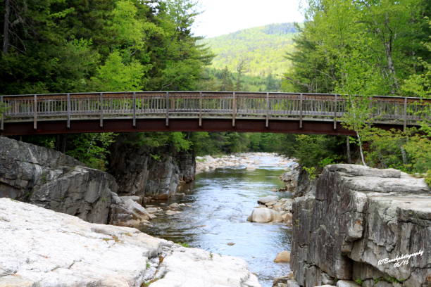 istock The White Mountains National Forrest 657984576