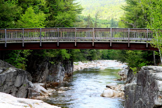 istock The White Mountains National Forrest 657984630