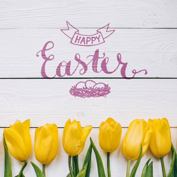 istock Happy Easter hand lettering calligraphy text. Yellow tulips bunch on white wooden planks rustic barn rural table background. Letters, inscription. Beautiful square flat lay postcard. 657985054