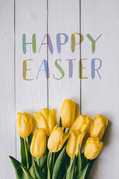 istock Happy Easter hand lettering calligraphy text. Yellow tulips bunch on white wooden planks rustic barn rural table background. Letters, inscription. Beautiful vertical flat lay postcard. 657985056