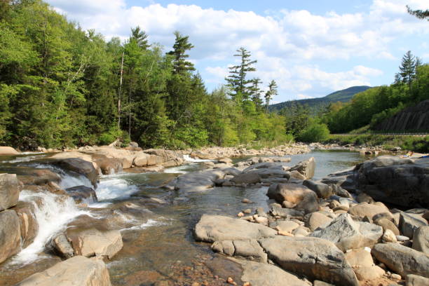 istock The White Mountains National Forrest 657985638