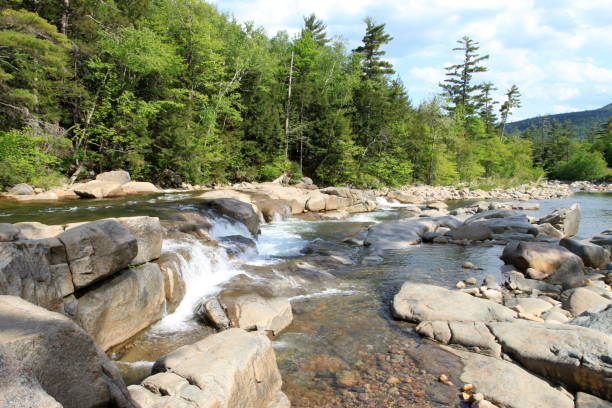 istock The White Mountains National Forrest 657985664
