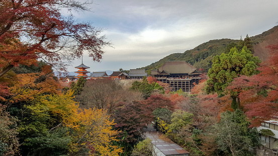 Kyoto, Japan  - December 3, 2016: Kiyomizu-dera temple stage with fall colored leaves