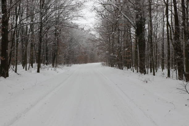 istock Snow covered country road in a bush 657999978